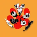 Welcome to Dogs Anonymous, the Online Support Group for People With Difficult Dogs